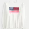 Hollister Comfy Cloud American Flag Graphic Crew-tröja
